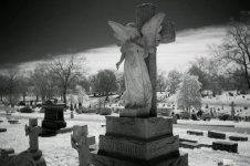 infrared3.jpg