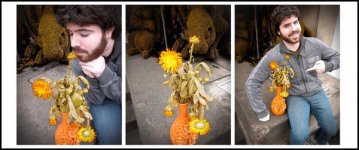 triptych smaller.jpg