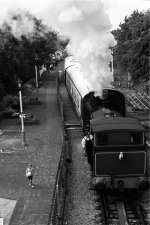 15-09-13-029-1-HP5.jpg