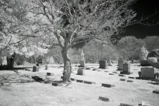 infrared2.jpg