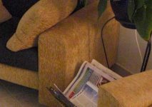 CIMG0090-crop-800.jpg