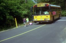 schoolbusa.jpg
