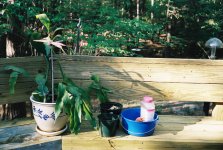 Nikkor 50 Min RF 30.jpg