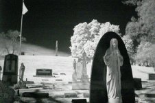 infrared.jpg
