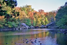 Voightlander 037-1.jpg