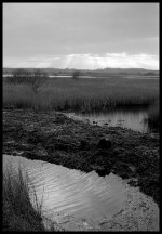 Scan-071211-0012.jpg