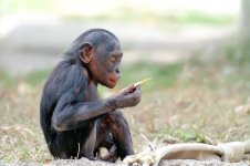 F5 WG200 500P 15.jpg