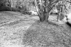 img689.jpg