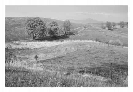 Pullman Farm Behind WSU.jpg