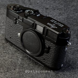 A863703E-69DA-4172-AFF3-9CEA56C8490F.jpeg