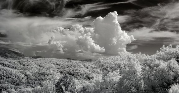 BC11525F-09D5-4F86-8ECA-38F5D9CD4883.jpeg