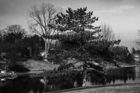 2023-02-27 Charnwood Contax IIA Sonnar 50-2 Eastman 5222 380420034.jpg