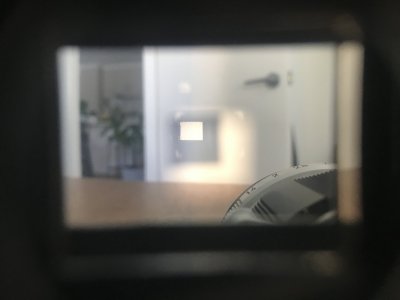 IMG_0041.jpeg