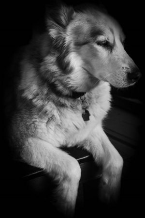 2020-02-29 Trooper A7II W Komura 35-28 DSC05308a.jpg