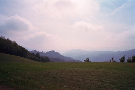 IMG_9789.jpeg