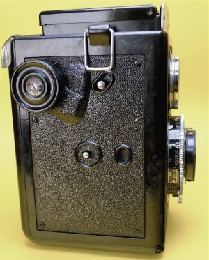 my voigt brilliant 2.jpg