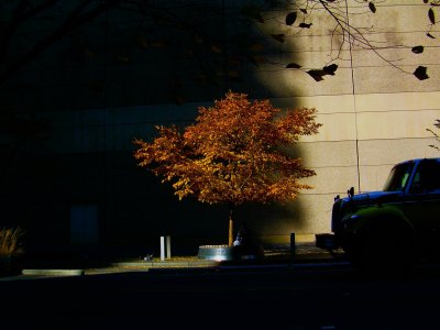 DSCN0585-1.JPG