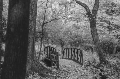 2023-10-01 Stage Bessa T Nikkor 85-2 CATLAB 320 547940001.jpg