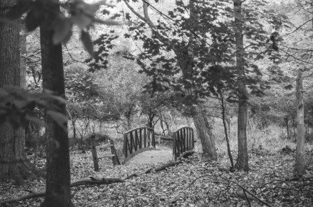 2023-10-01 Stage Bessa T Nikkor 85-2 CATLAB 320 547940002.jpg