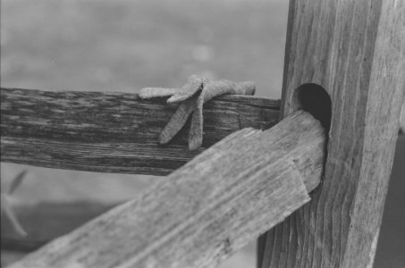 2023-10-01 Stage Bessa T Nikkor 85-2 CATLAB 320 547940008.jpg