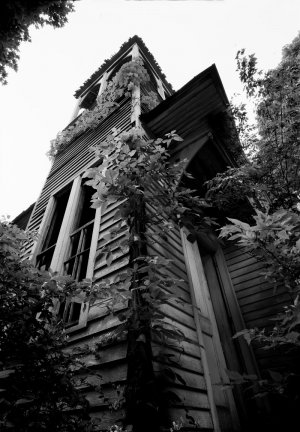 Davy Harrican D.jpeg