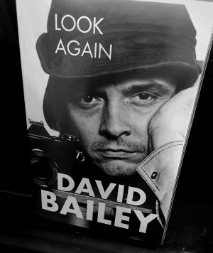 Bailey.jpg