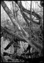 Scan-071211-0024.jpg