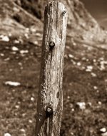 Fall Creek Pass Marker-1.jpg