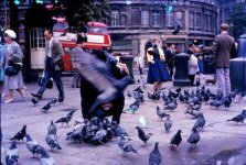 kodachrome22.jpg