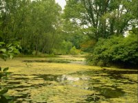 NMF st.mary's pond #1 091109.jpg