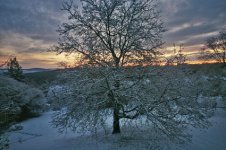 21vc-Winter-dawn-feb10.jpg