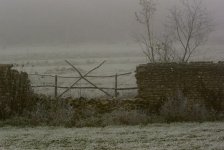 Frosty X-gate.jpg
