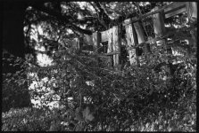 library034f.jpg