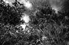 Scan-101121-0021.jpg
