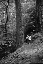 Columbia Gorge Hike email.jpg