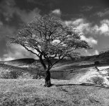 img044sm.jpg