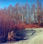 agfa_click_3.jpg