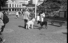 Biarritz2 -013.jpg