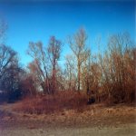 agfa_click_4.jpg