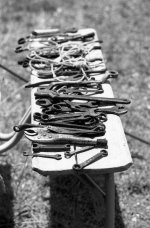 BW269_031.jpg