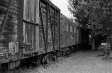 train sept 3 (Large).jpg
