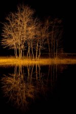 20101119-_EPS4088r.jpg