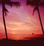 konasunset3.jpg