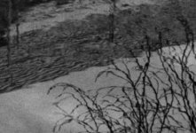 BW 2009-036.05crop.jpg