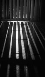 light_tracks3-700.jpg