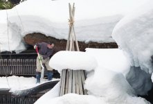 snow.jpg