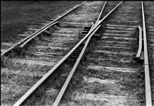train sept 4 (Large).jpg