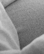 Ultron N1600 Xmas Omi1 crop.jpg