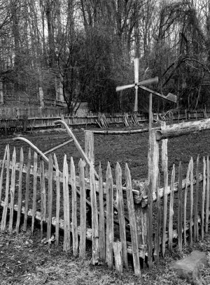 fence and windmill.jpeg