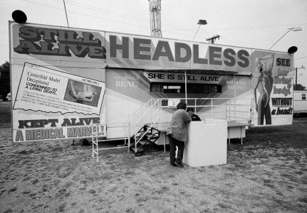 Headless 1.jpeg